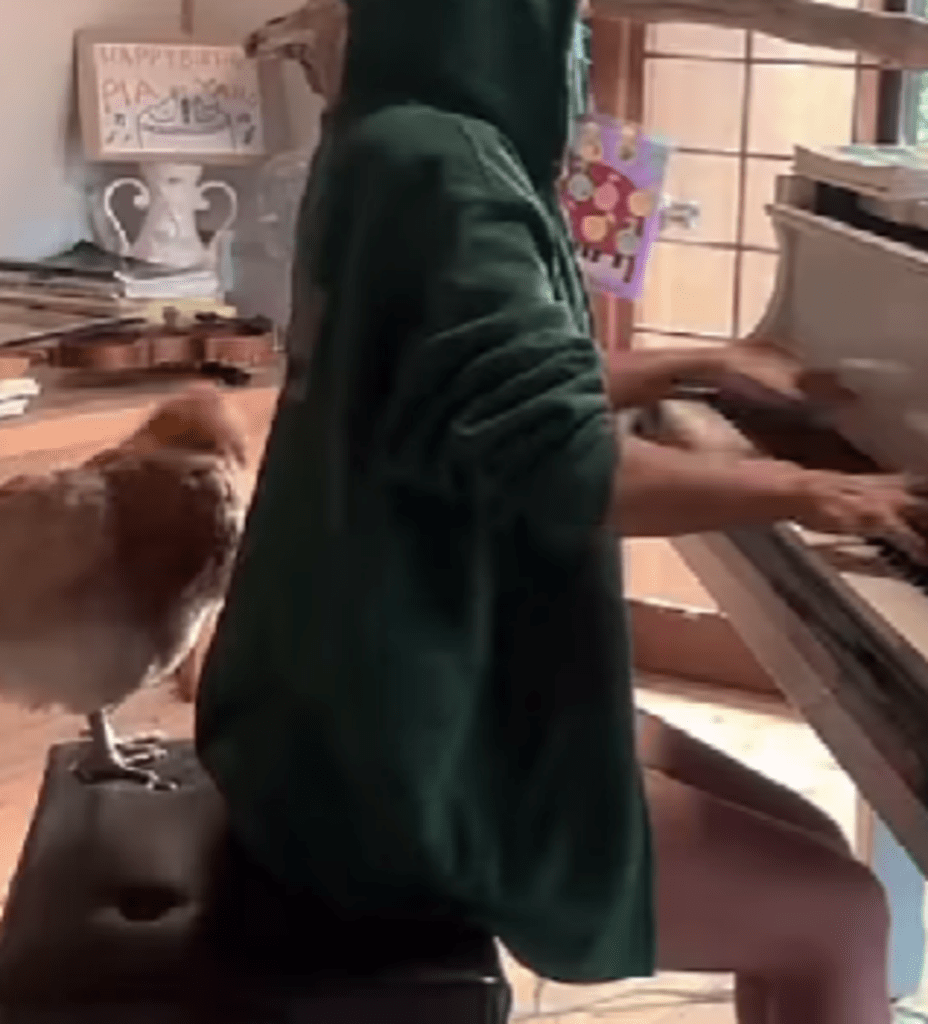 よく見ると、ここにも…！（@piayano2017さんより提供）