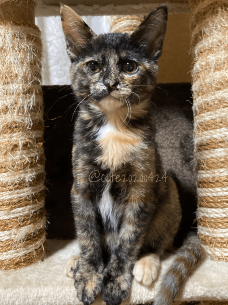 【実際の写真7枚】　５年後の様子