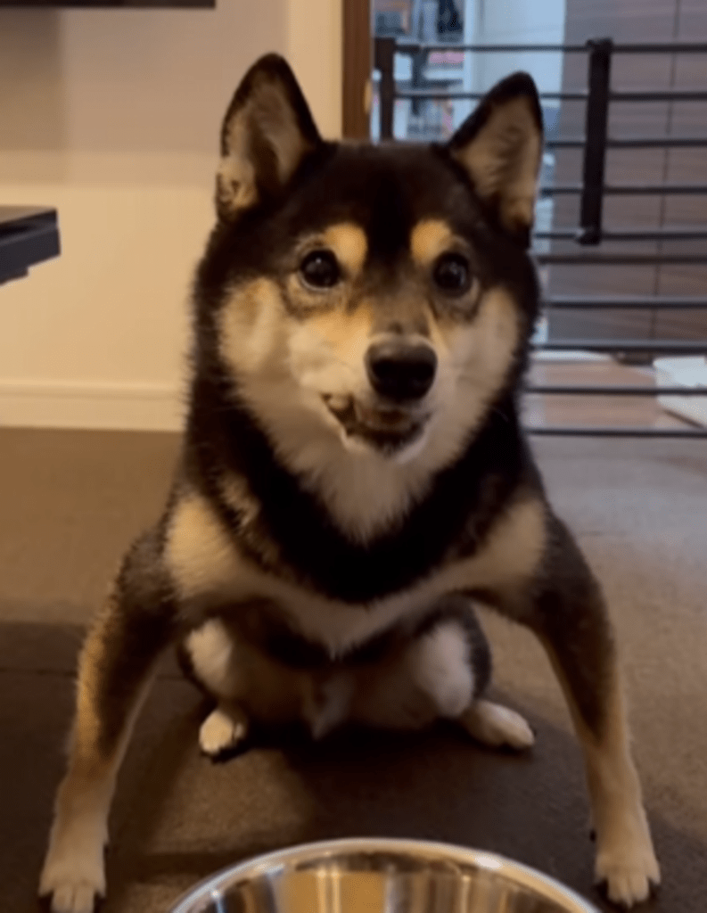 【実際の写真6枚】　足元の光景