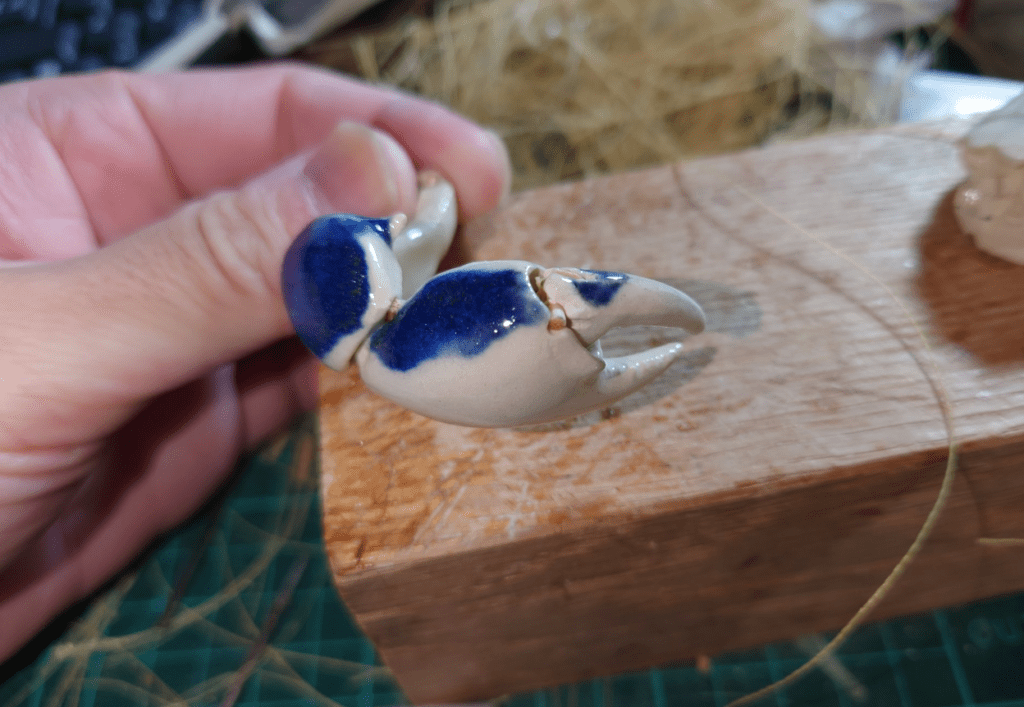 カニの爪（@Naoaki_Soneさんより提供）