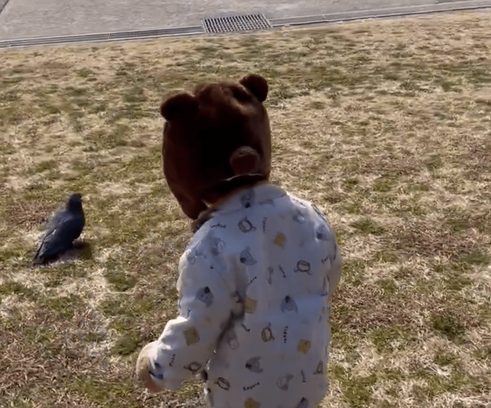 ハトを見つけた娘さん（@coon_channelさんより提供）