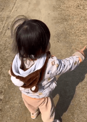 お散歩中（@coon_channelさんより提供）