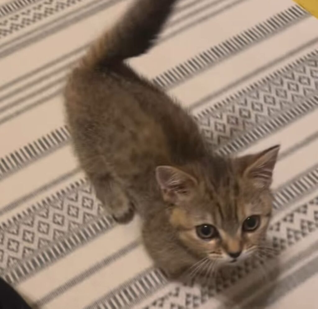 【実際の写真7枚】　１年後の様子