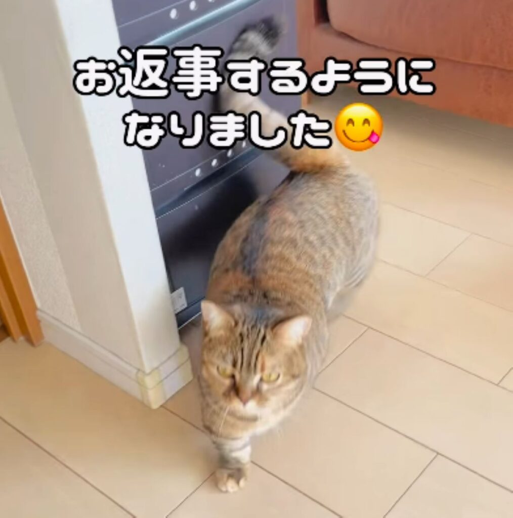 しっかりお返事できるように！（＠boku_mizoreさんより提供）