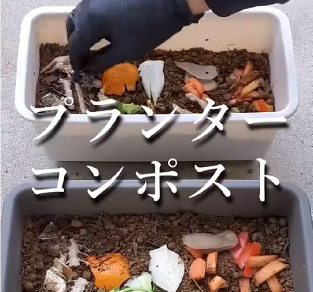 【実際の写真5枚】　1ヶ月の様子