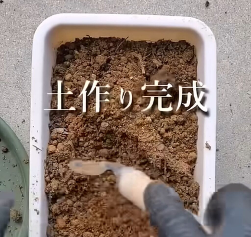 土作りの完成（@KIPPさんより提供）