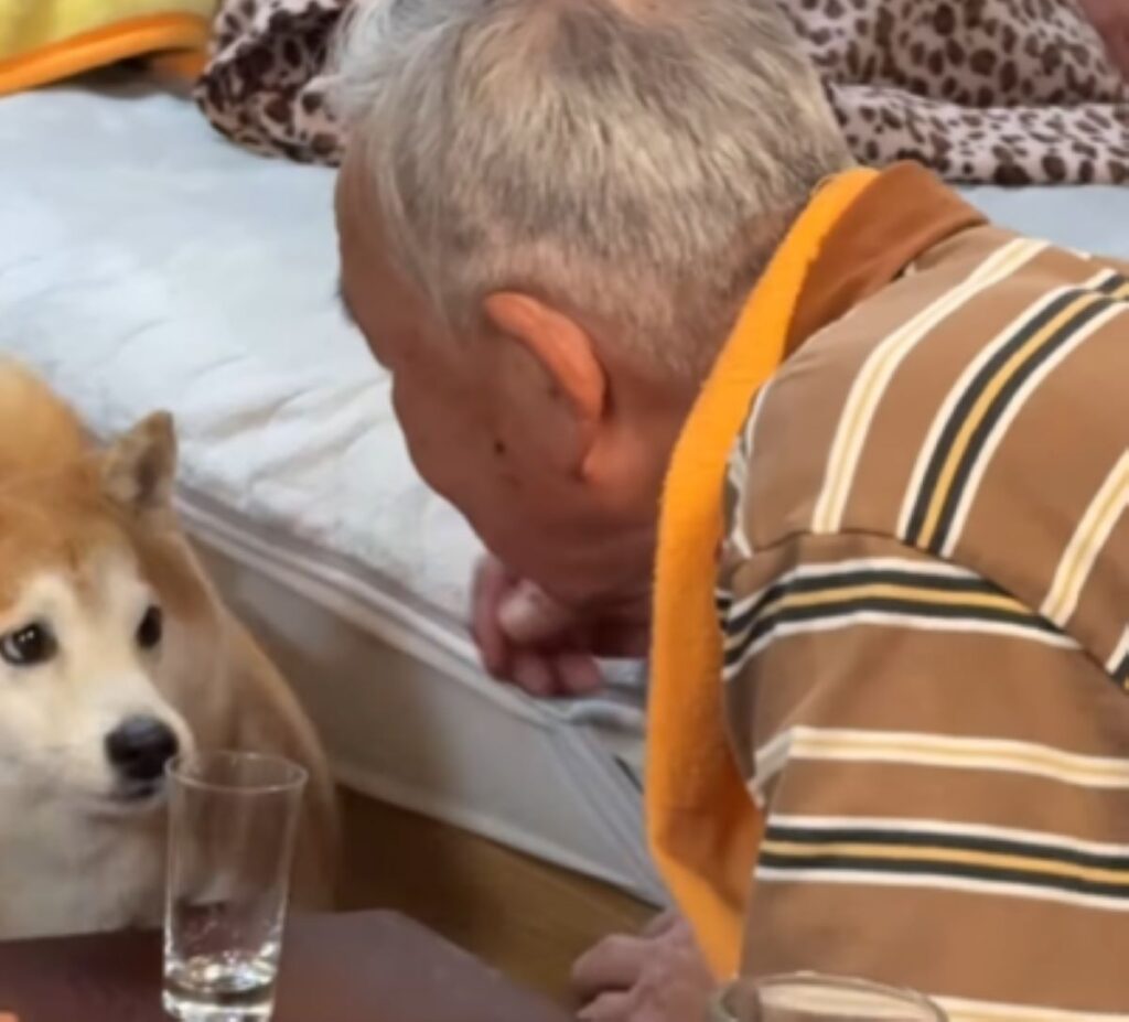 頷いているような富士くん（＠yamada_fuji_さんより提供）