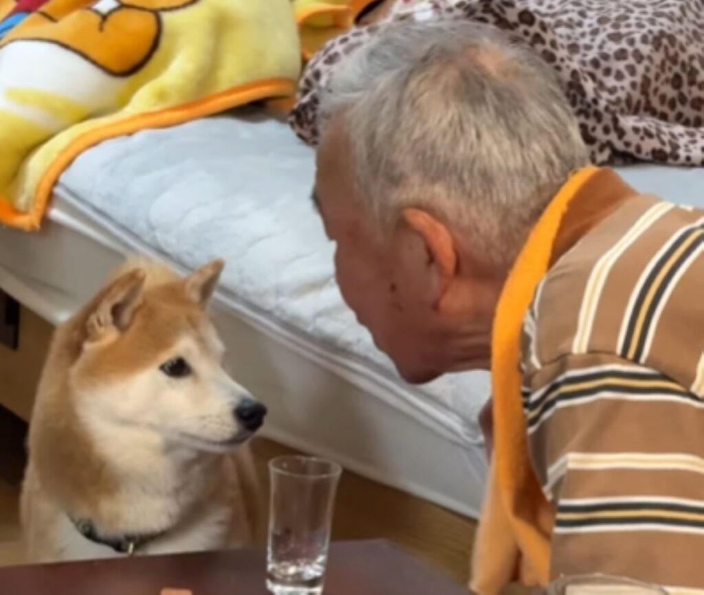 【実際の写真5枚】　投稿者さんが見た光景