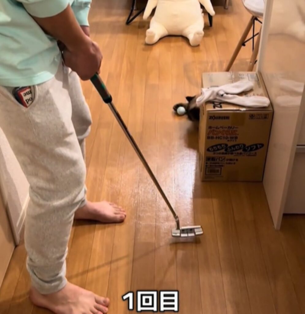 【実際の写真5枚】　飼い主さんが見た光景