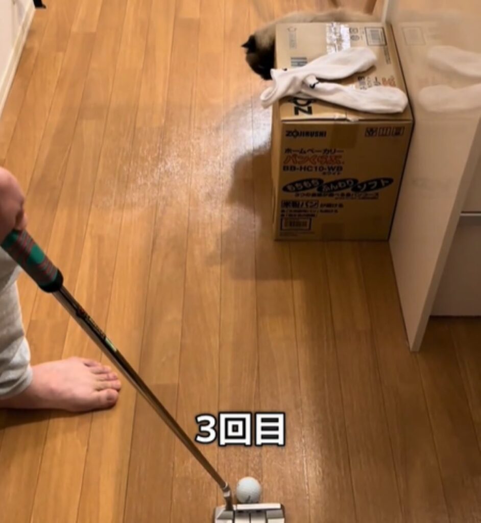 3回目も狙っています（＠__kikuchiyoさんより提供）