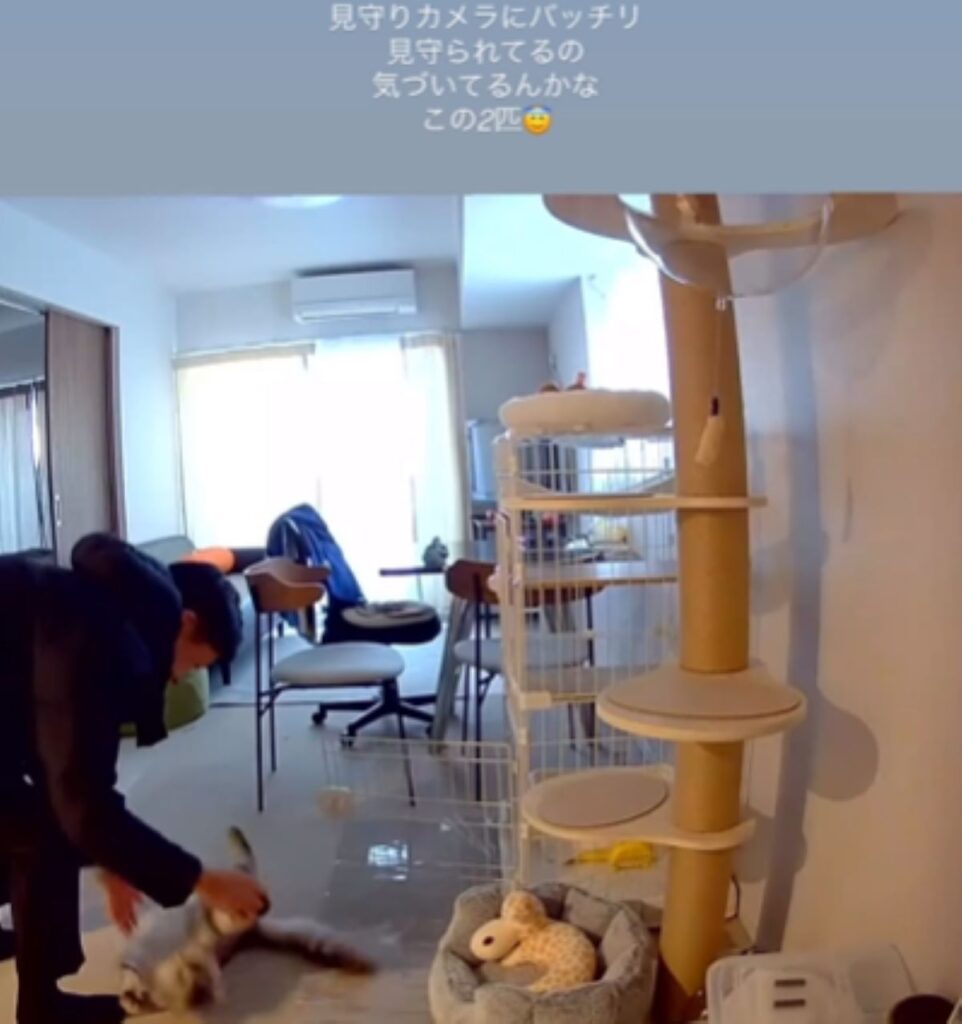 見守りカメラに映っていたのは…（＠mugita_515さんより提供）