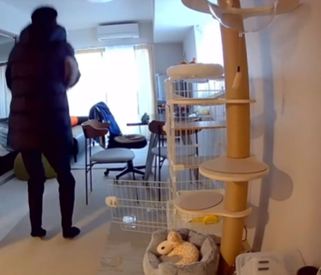 【実際の写真6枚】　飼い主さんが見た光景