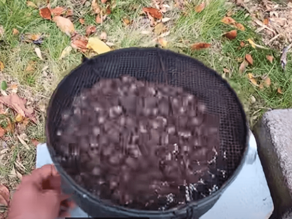 火で炒ると、楽に殻がむけます（@chieetonさんより提供）