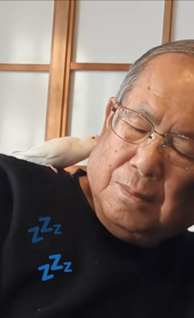 おじいちゃんに甘えるコハクちゃん（@mamamama0660さんより提供）