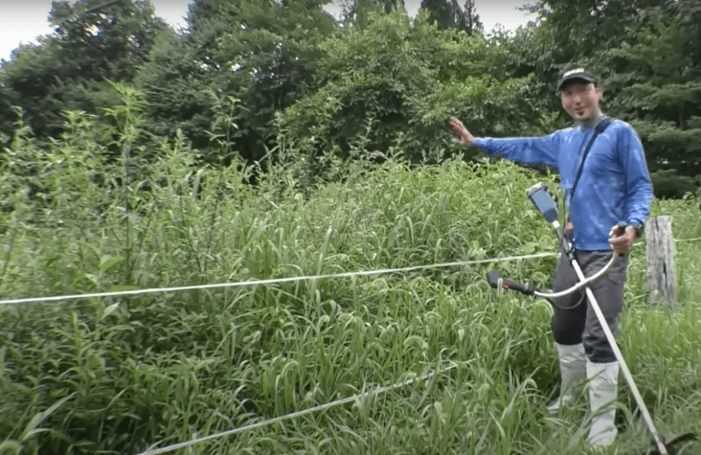 【実際の写真5枚】　ウシを放った結果