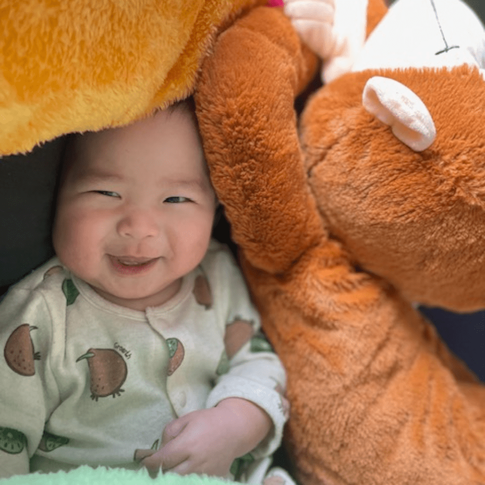 【実際の写真6枚】　11か月後の様子