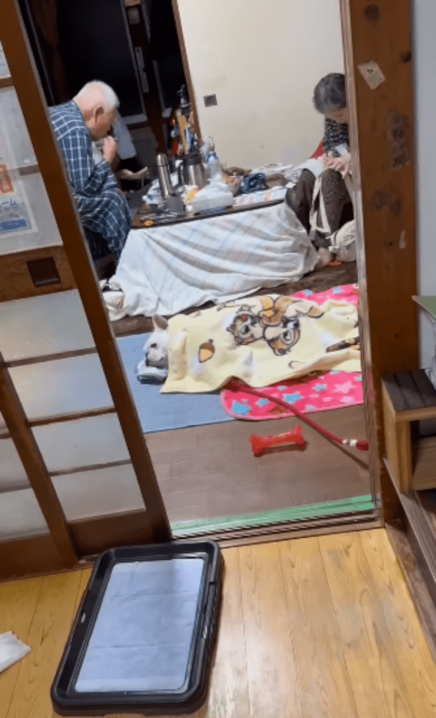 【実際の写真5枚】　じいじ達の近くの様子