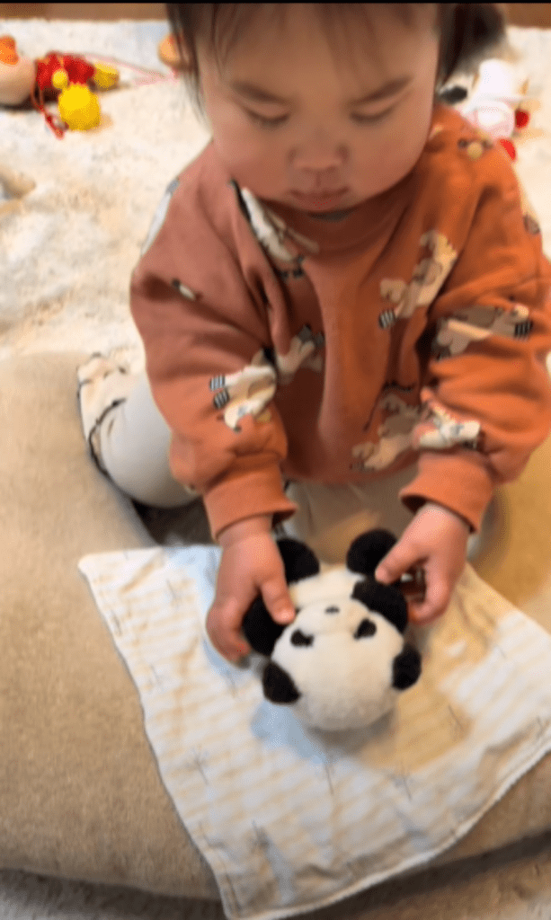 【実際の写真7枚】　ママが見た光景