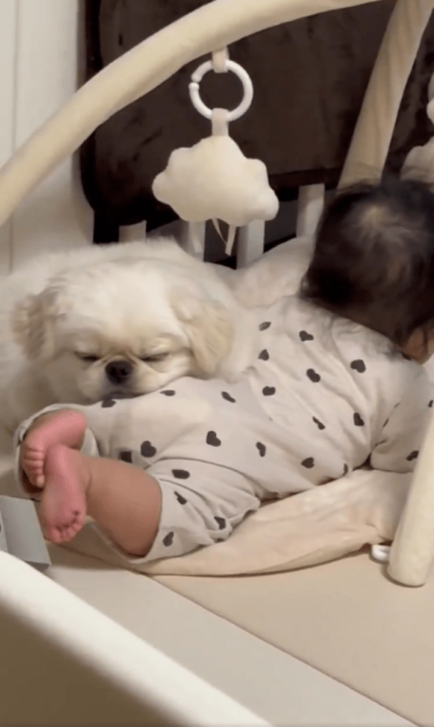 【実際の写真5枚】　ママが見た光景