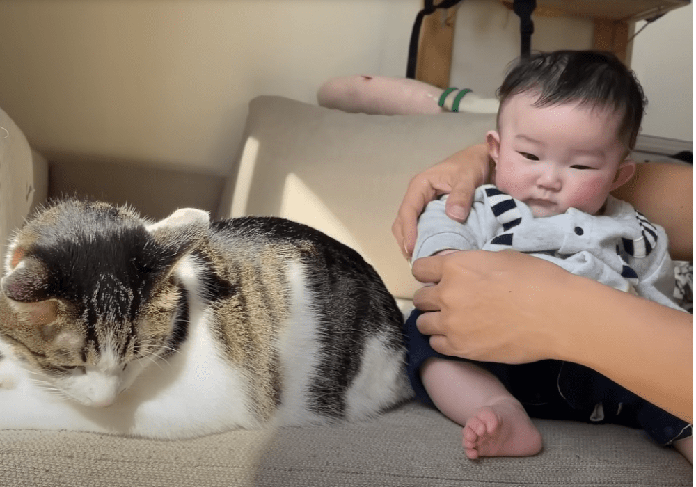 娘さんとワビちゃん（@wabisabi-chさんより提供）