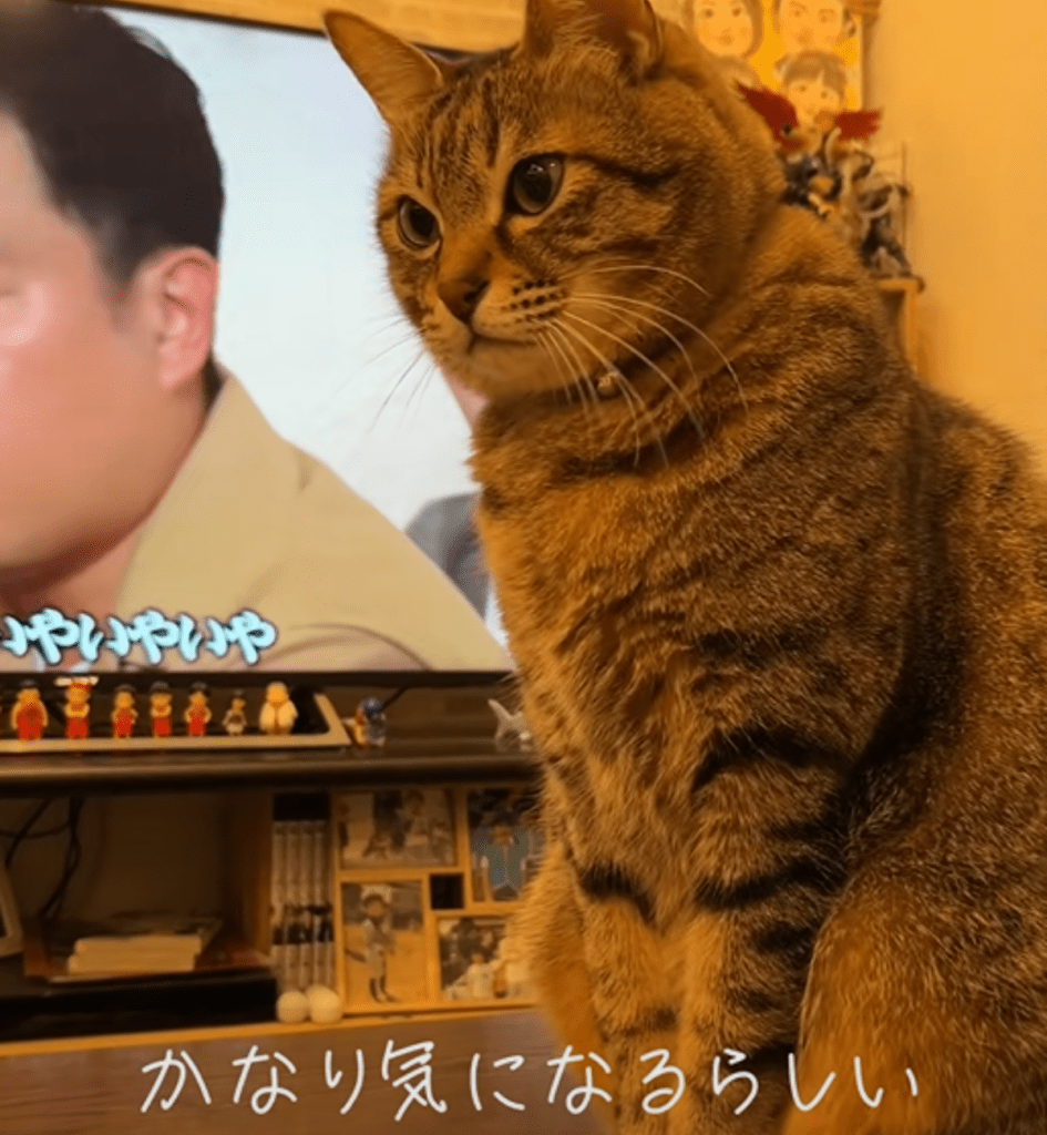 何かを気にするレオくん（＠wanda__blogさんより提供）