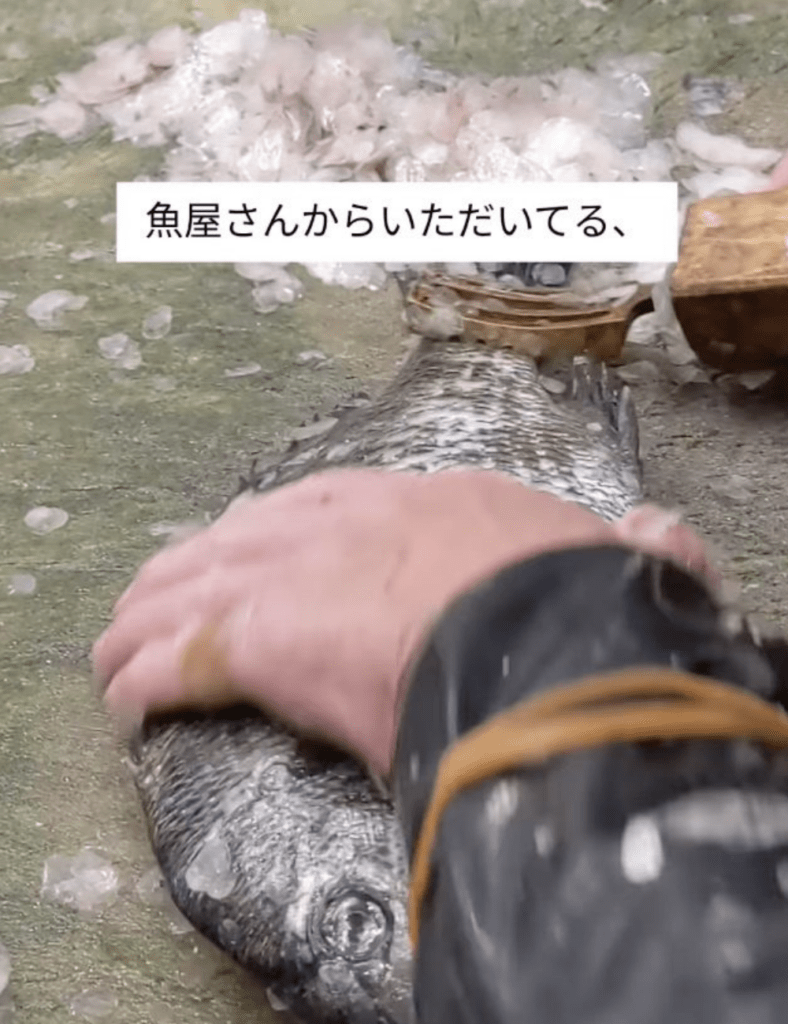 魚屋さんから直接いただいている鱗（@caribbean.amorさんより提供）