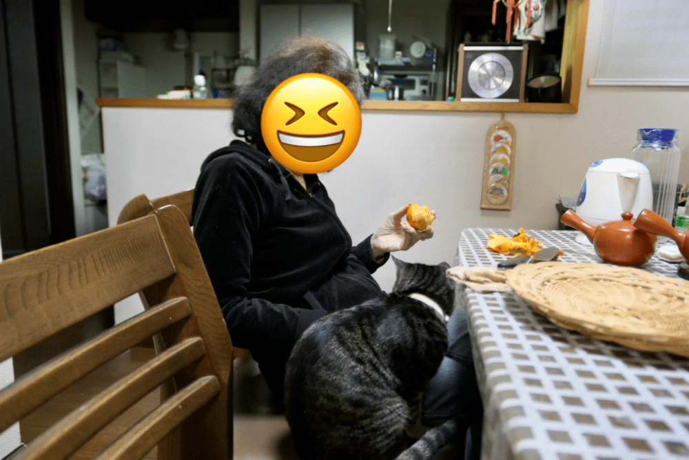 お母さんと愛猫のコテツくん（@judsan12さんより提供）