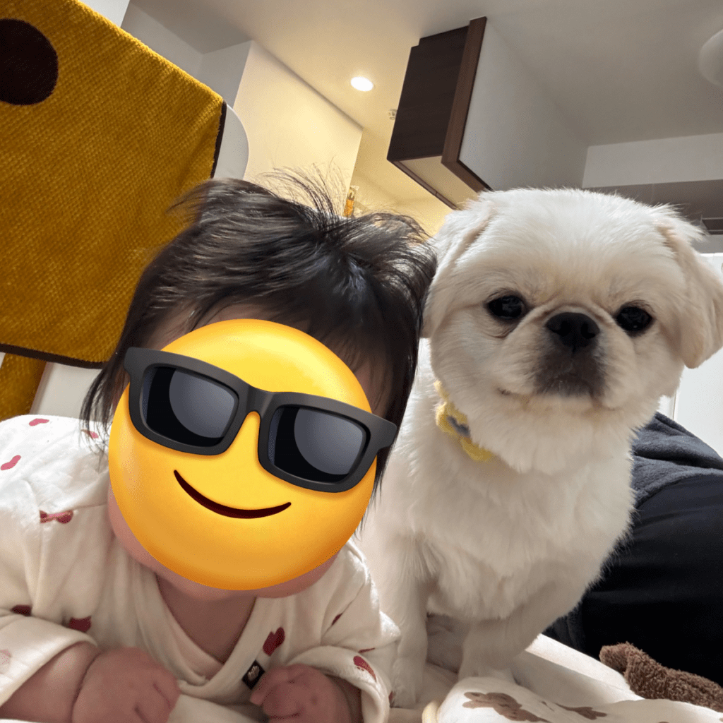 仲良しな娘さんとぷっちょくん（@pucchopekiさんより提供）