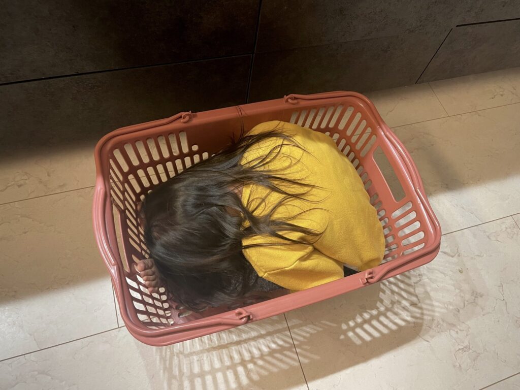 【実際の写真6枚】　ママが見た光景