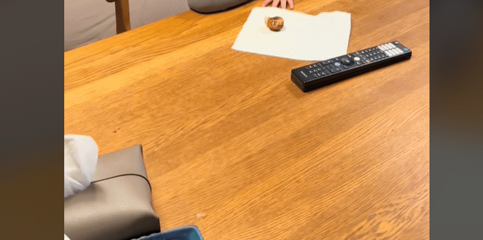 母「静かだと思ったら…」テレビを見ていた1歳息子。しかし、よく見ると…「尊すぎる」「見ているだけで癒される」「生まれてきてくれてありがとう」