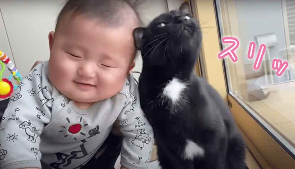 【実際の写真6枚】　ママが見た光景