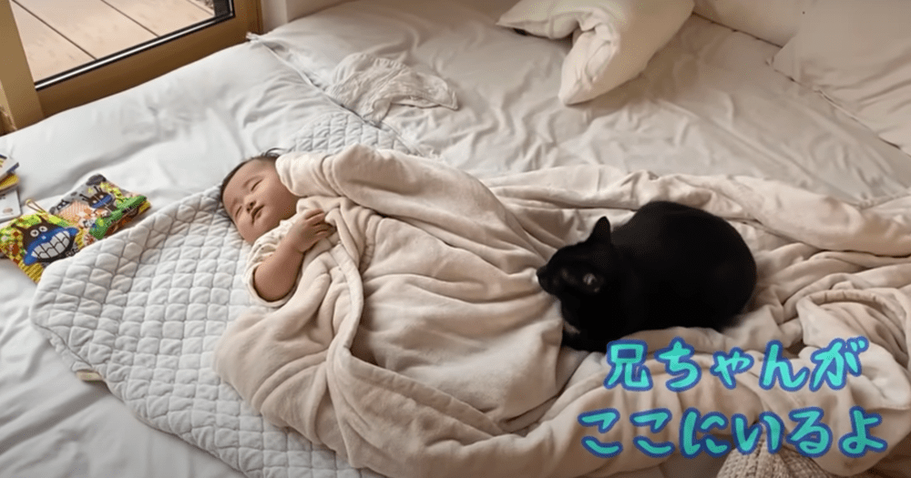 赤ちゃんを見守るくまごろうくん（@Hogoneko-hachannelさんより提供）