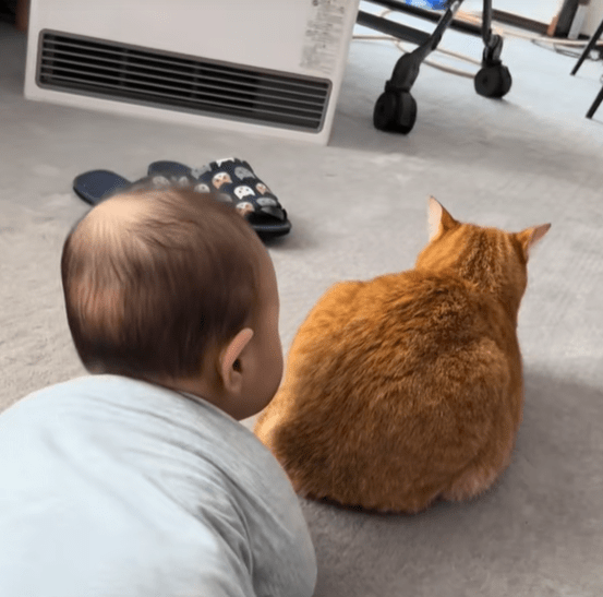 仲良しなふたり（@ayatoto194さんより提供）