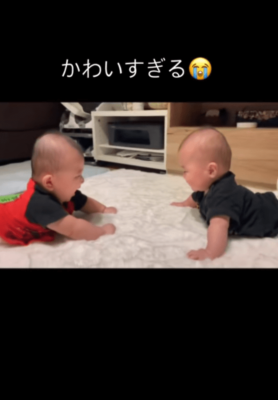 【実際の写真5枚】　ママが見た光景