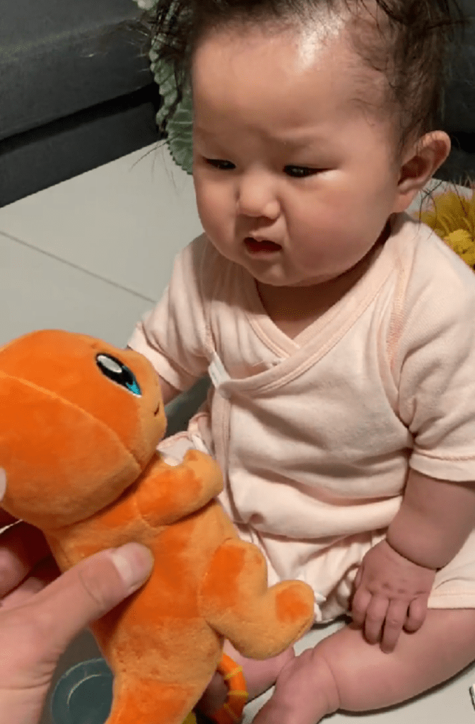 ぬいぐるみは興味なし（@mkmkmkmkm88さんより提供）