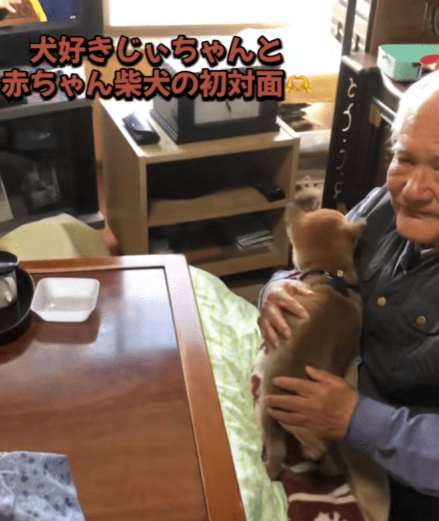 【実際の写真5枚】　お孫さんが見た光景