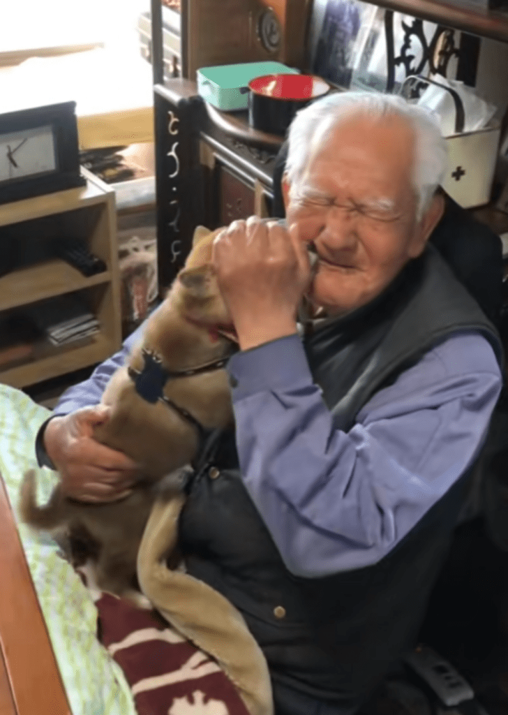 ひいおじいちゃんの顔を舐め回す赤ちゃん柴犬が初対面（@adi_das.shibaさんより提供）