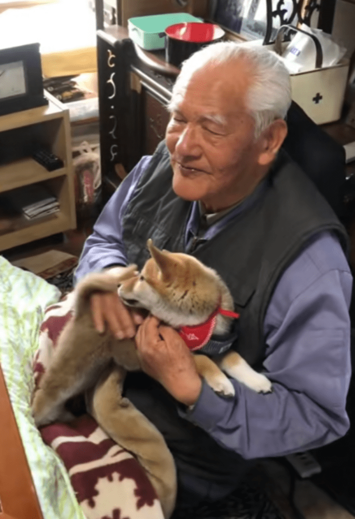 ひいおじいちゃんの犬好きが伝わる瞬間（@adi_das.shibaさんより提供）