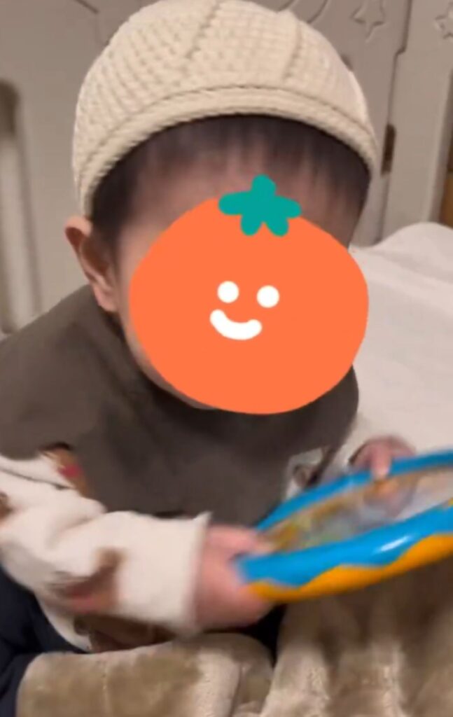 普段の様子①（@Alice_lgstさんより提供）