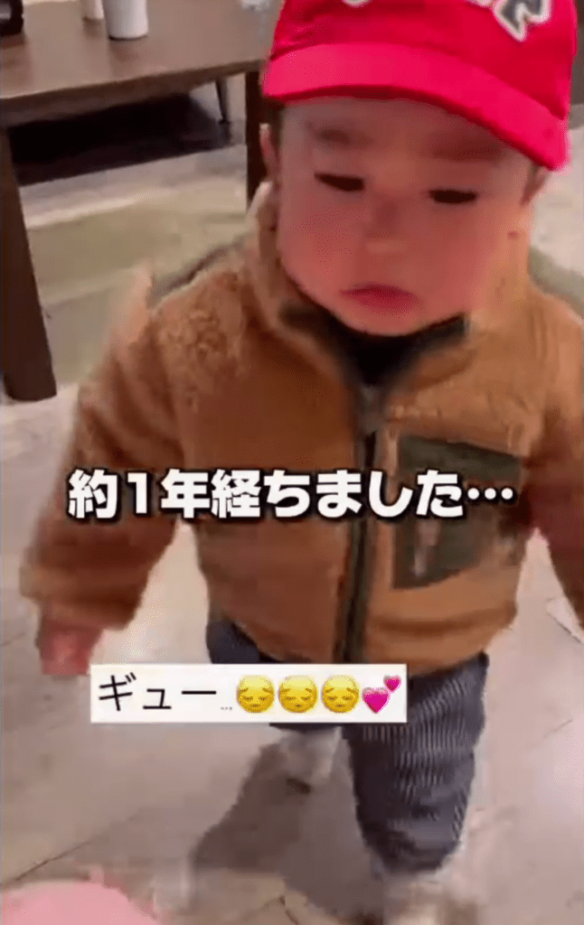 【実際の写真6枚】　1年後の様子