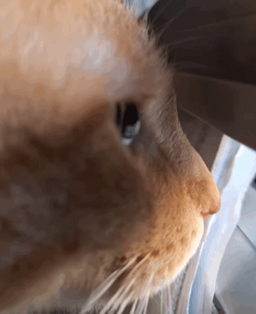 今日も一仕事終えました（@ponsuke20210405さんより提供）