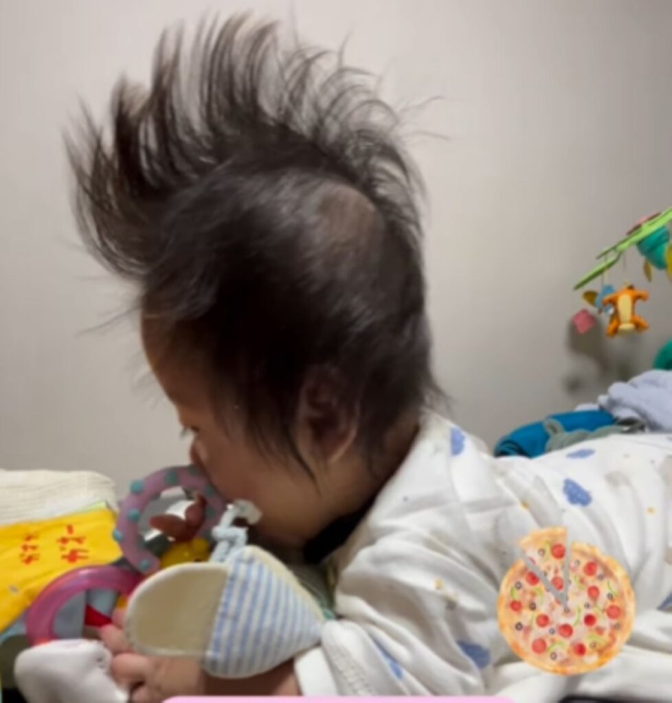 横から見るとピザカッターのように見えます（＠meifa_l0v0lさんより提供）