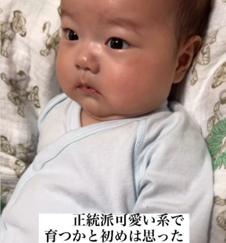 【実際の写真5枚】　5ヶ月後の姿