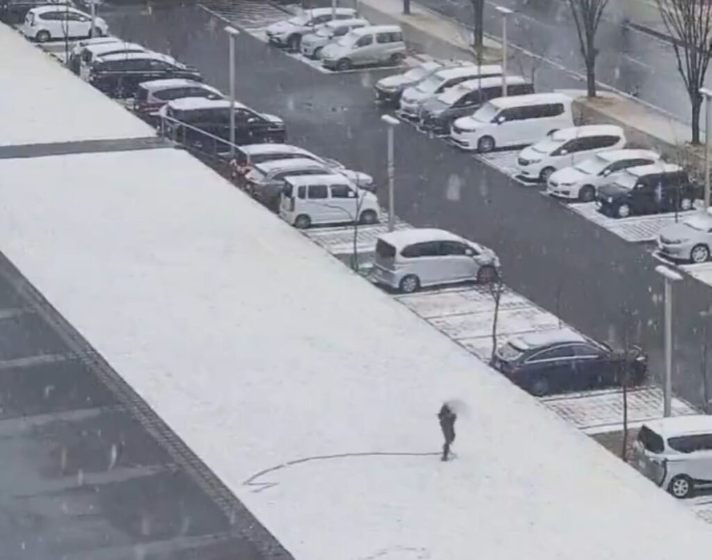 【実際の写真6枚】　撮影された光景