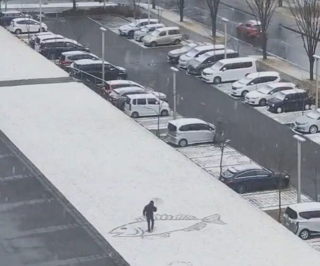 雪の上に登場したのは魚の絵（＠tuna_sumaさんより提供）