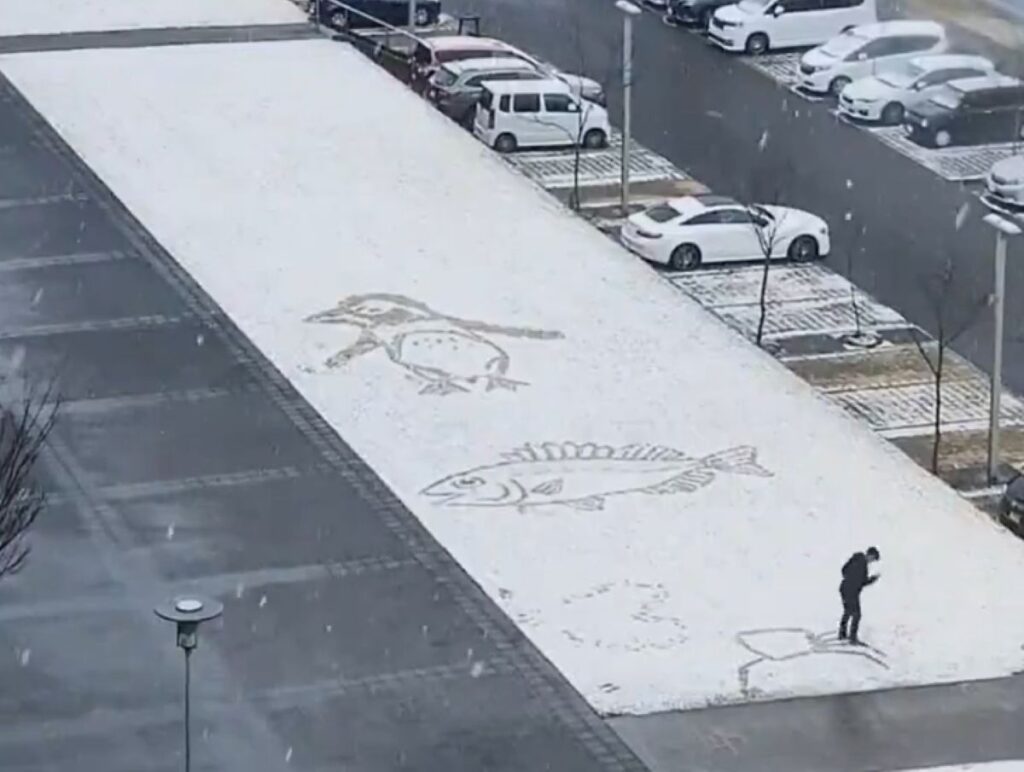 魚の上にはペンギンも（＠tuna_sumaさんより提供）