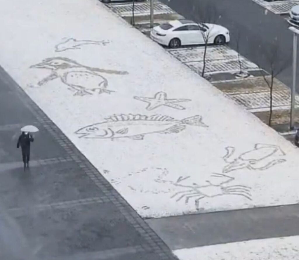 見事な絵が完成（＠tuna_sumaさんより提供）