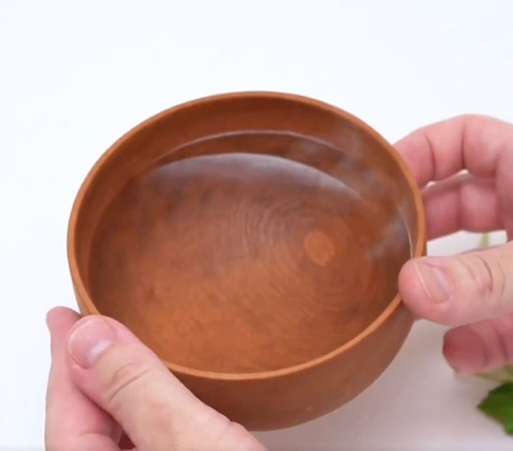 お椀の中は…（＠kibori_no_konnoさんより提供）