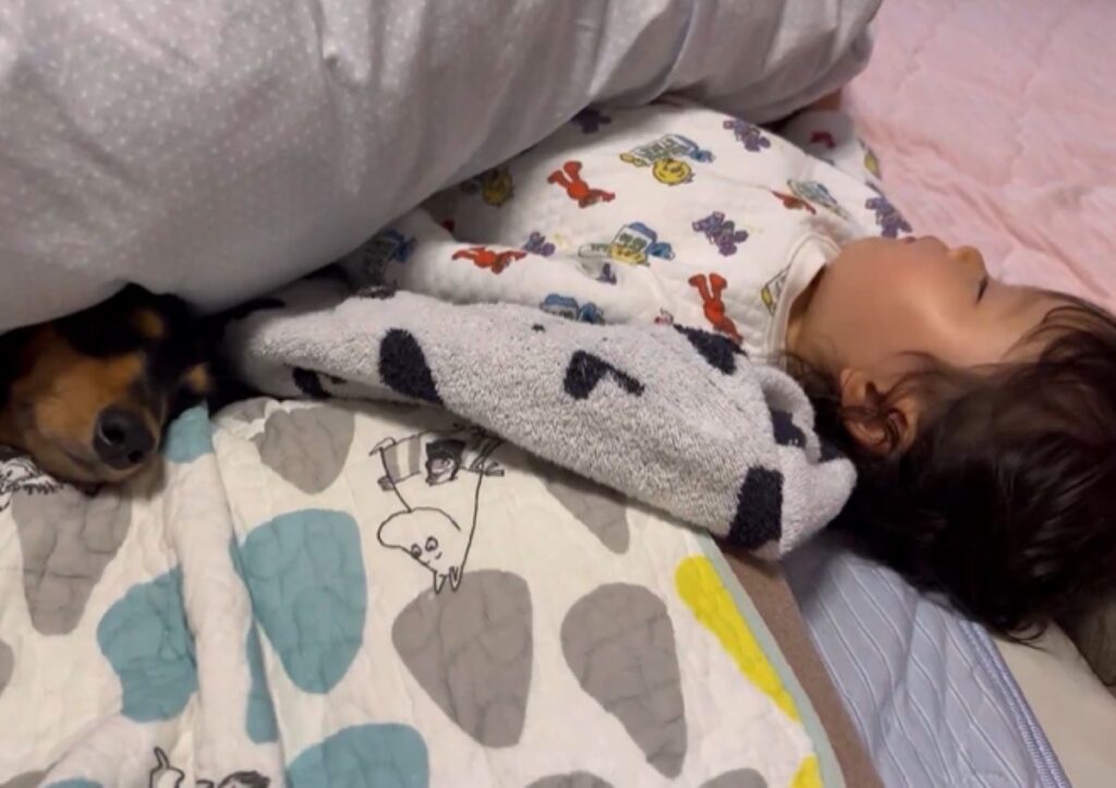 【実際の写真5枚】　ママが見た光景