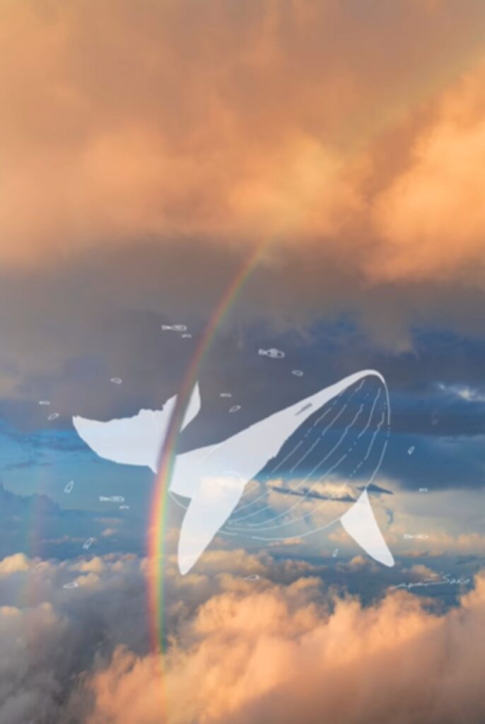 虹をくぐるクジラ（＠sara2626_ifさんより提供）